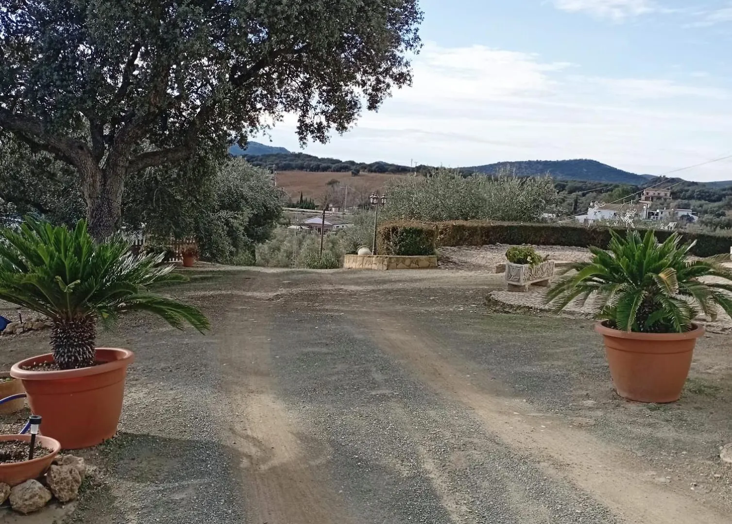 Casa La Loma En Archidona Villa Malaga